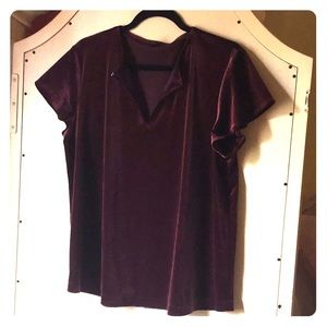Ann Taylor Short Flutter-Sleeve Velvet Blouse